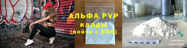 прущие грибы Костерёво