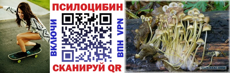 Псилоцибиновые грибы GOLDEN TEACHER  купить наркотики цена  Новочеркасск 