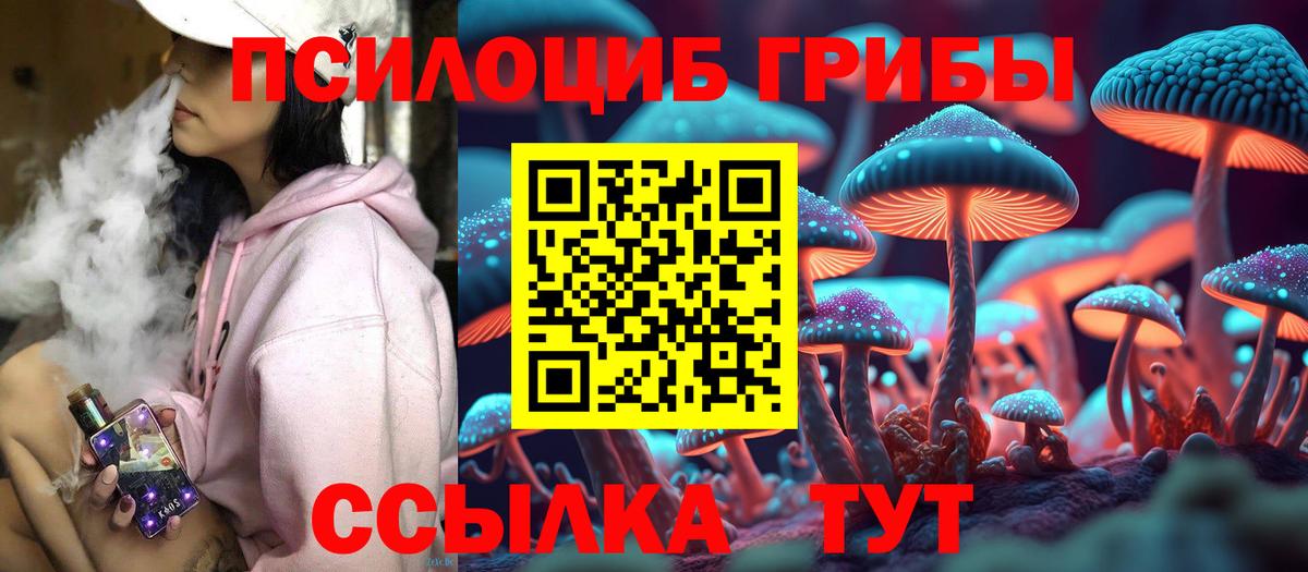 Псилоцибиновые грибы Psilocybe  Вход с VPN  Псилоцибиновые грибы мицелий  Новочеркасск 