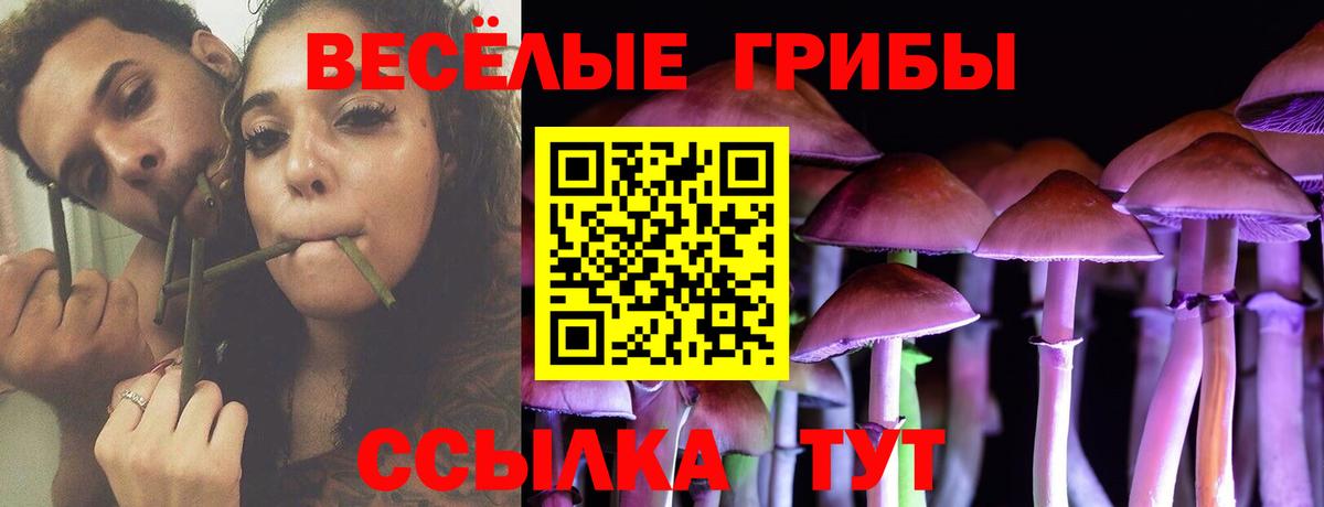 Псилоцибиновые грибы мицелий Новочеркасск