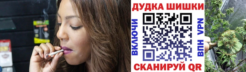 Конопля сатива  мега маркетплейс  Новочеркасск 